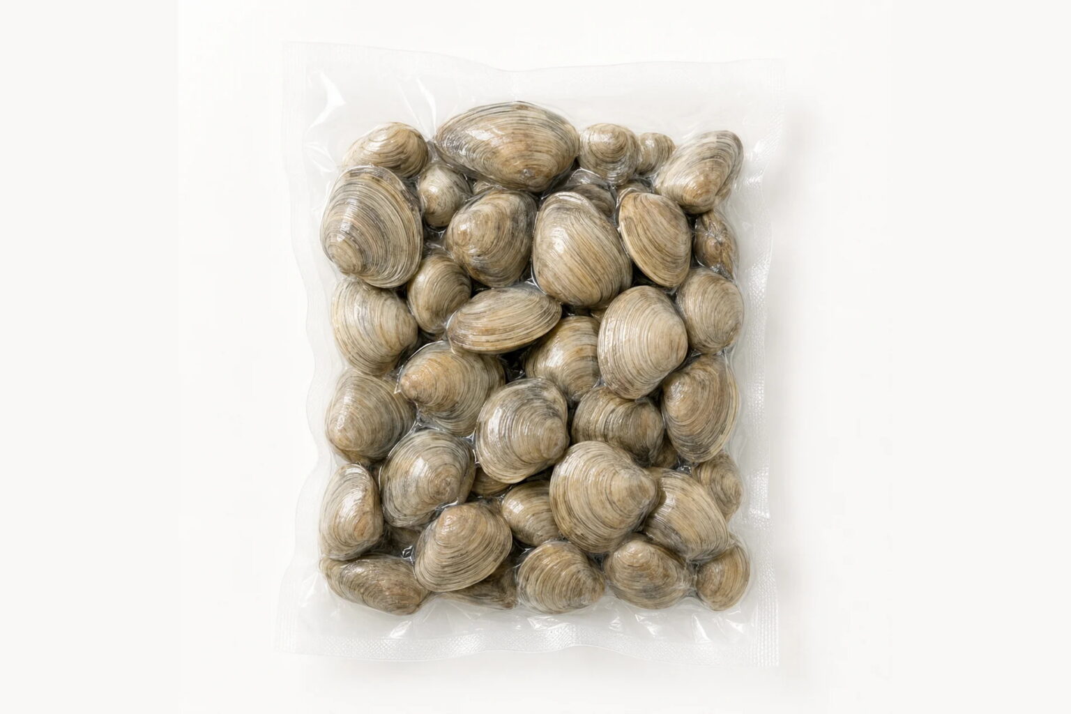 Fresh Clams