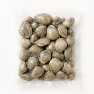 Baby Clam
