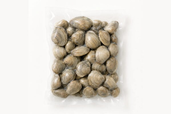 Fresh Clams