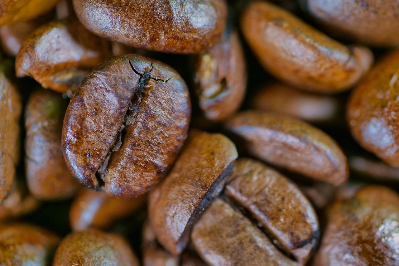 Coffee Bean