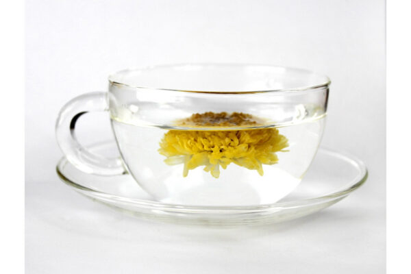Chrysanthemum Tea