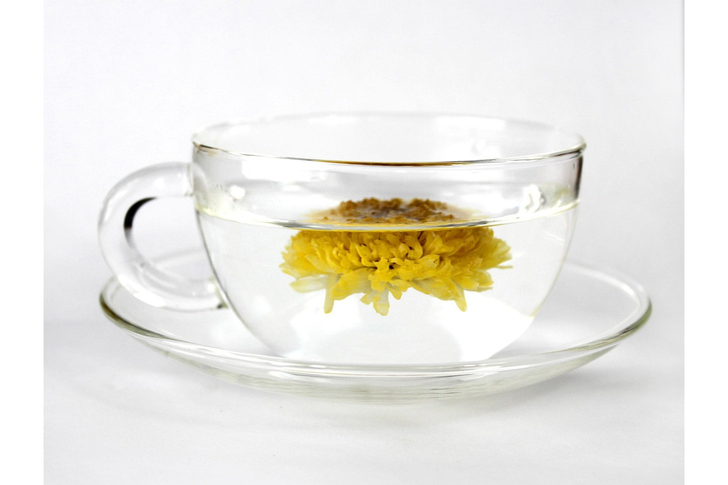 Chrysanthemum Tea