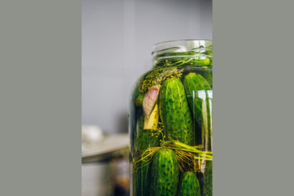 Pickled Cucumber