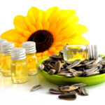 Sunflower Oil