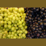 Seedless Grapes