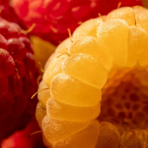 Raspberry