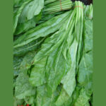 Spinach