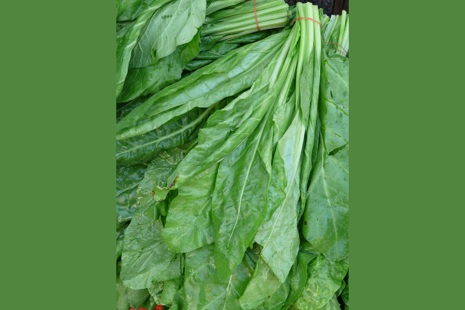 Spinach