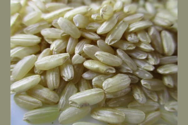 Short-Grain White Rice