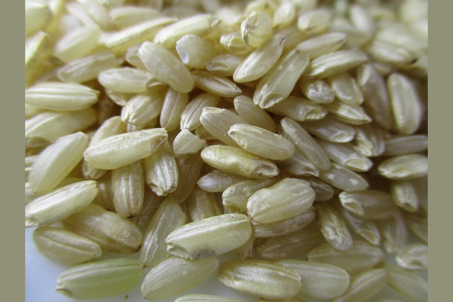 Short-Grain White Rice