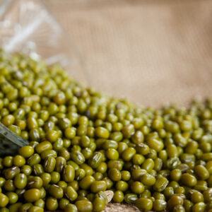 Green Mung Bean