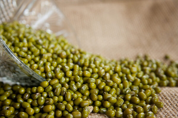 Green Mung Bean