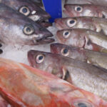 Whole Mackerel