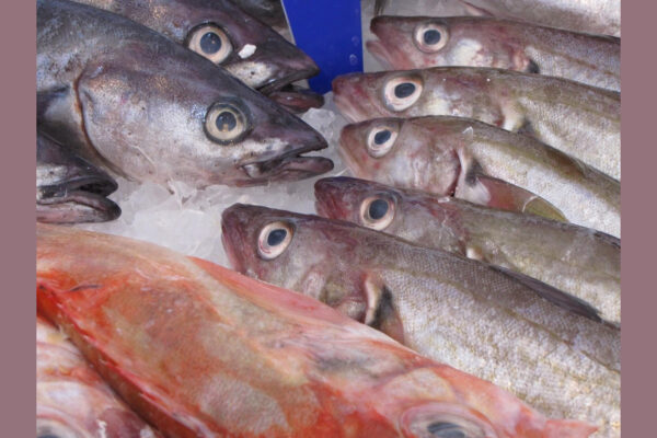 Whole Mackerel