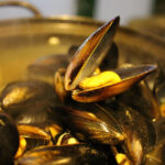 Cooked Mussels