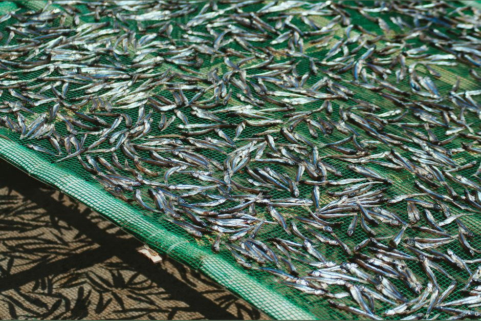 Dried Anchovy