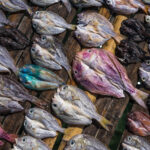 Salted Fish