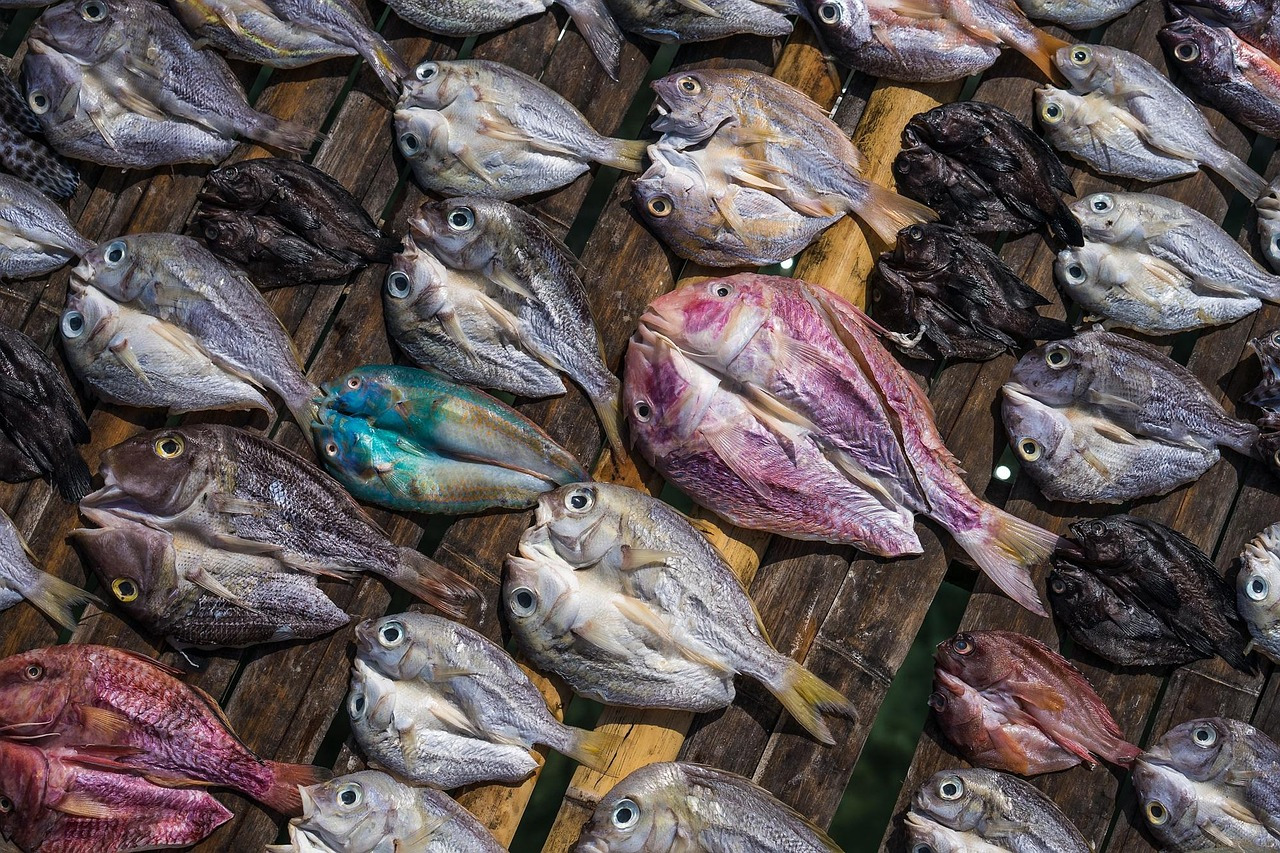 Salted Fish