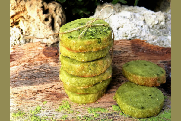 Matcha Cookie