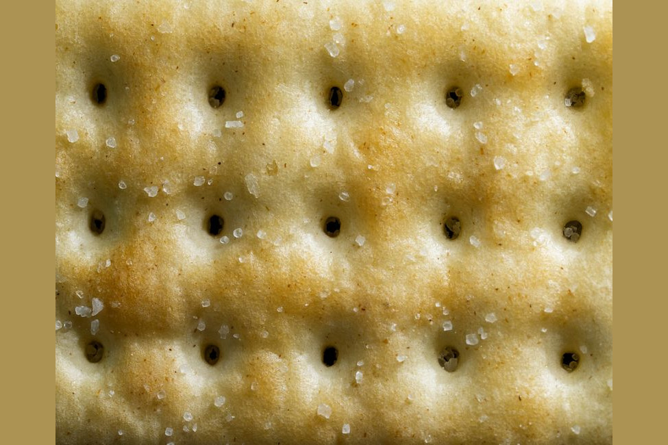 Cream Cracker