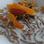 Mango Muesli Bowl