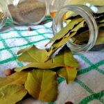 Bay Leaf