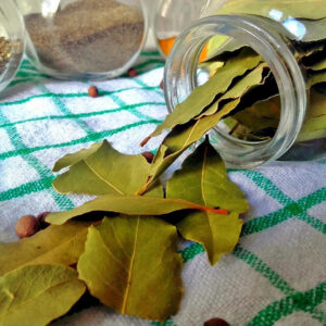 Bay Leaf