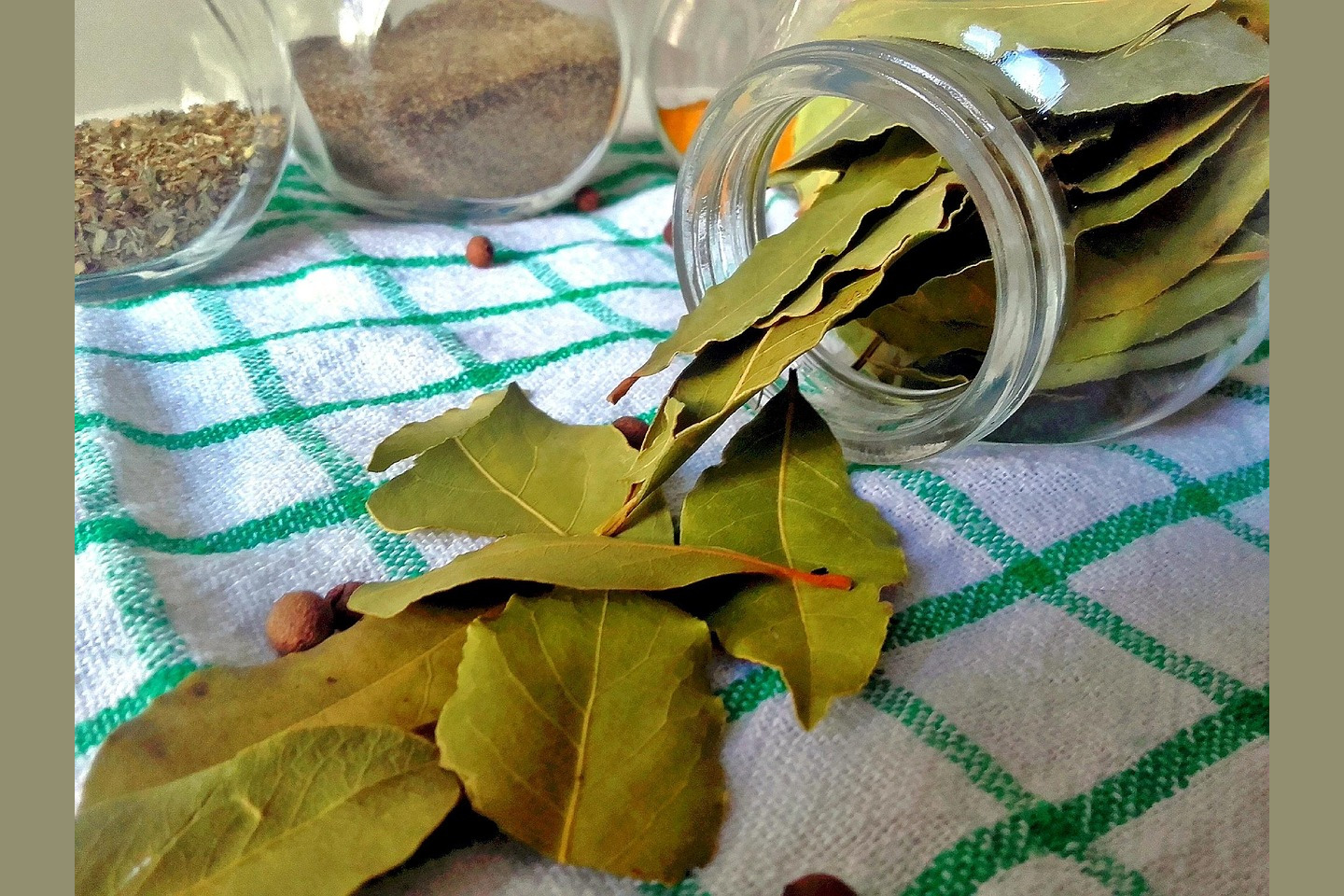 Bay Leaf