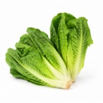 Romaine