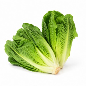 Romaine