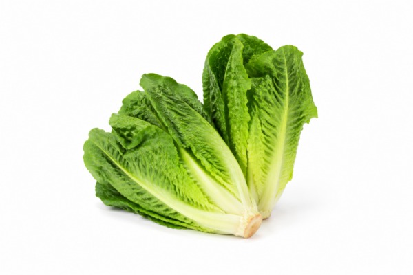 Romaine
