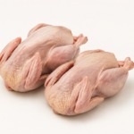 Quail