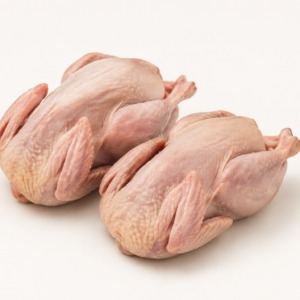 Quail