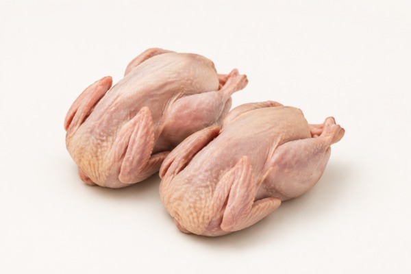 Quail