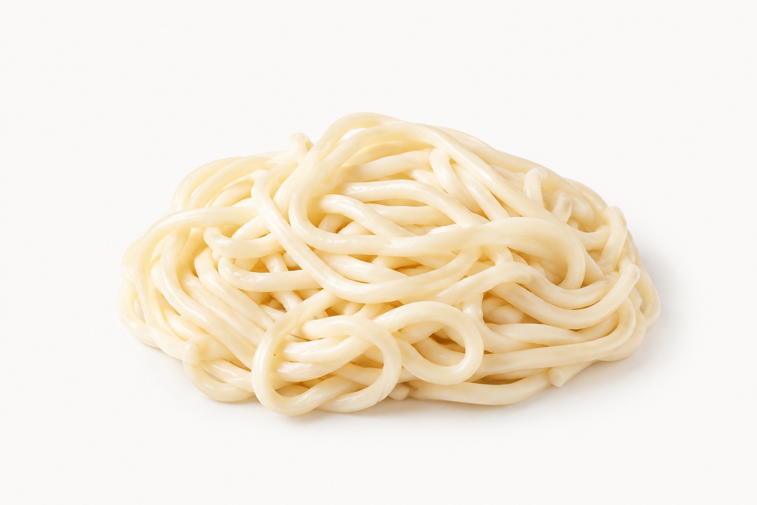 Fresh Udon
