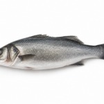 Sea Bass