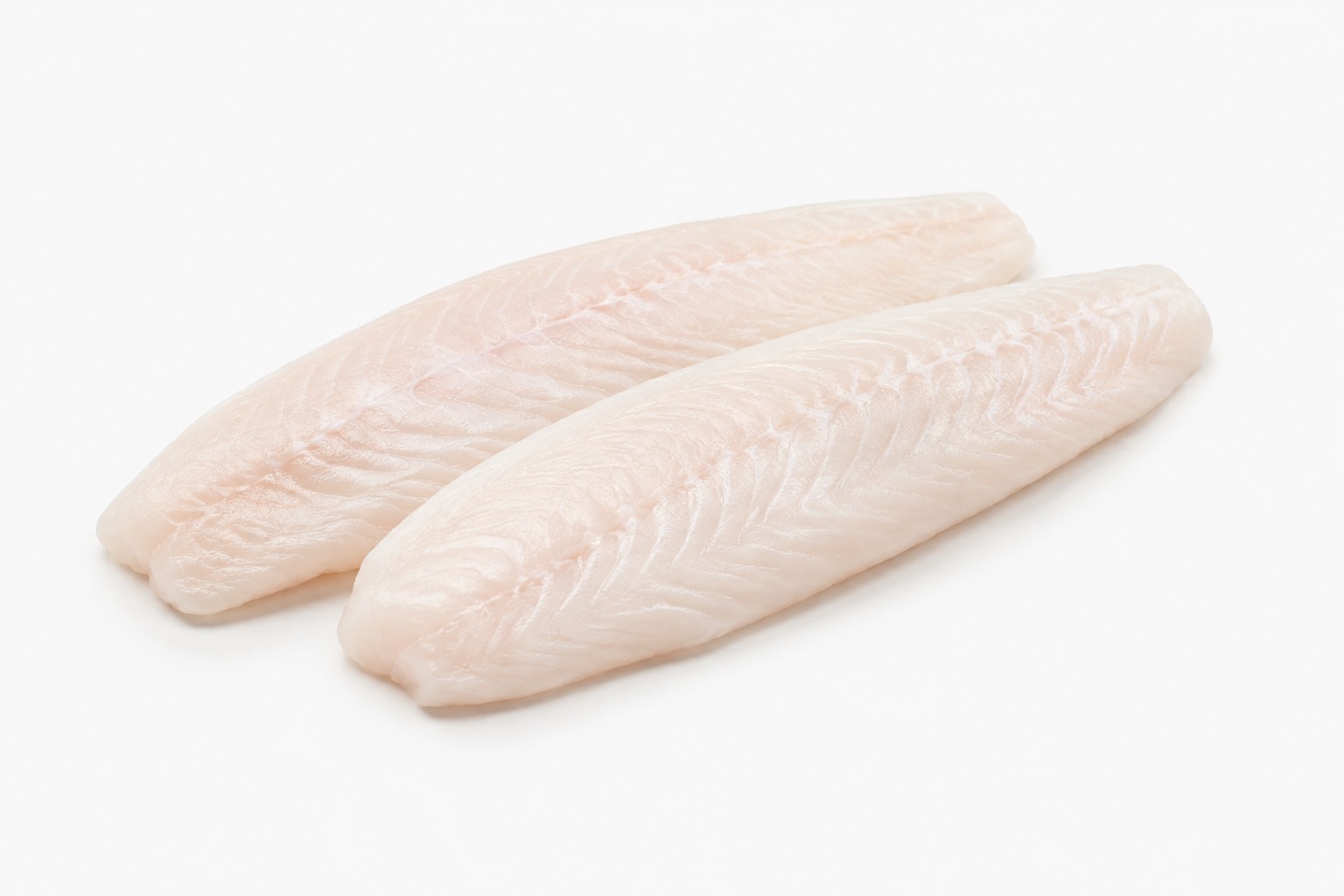 Dory Fillet