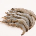 White Prawn