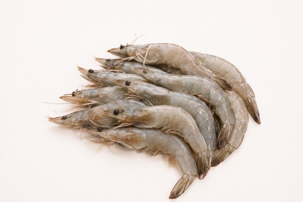 White Prawn